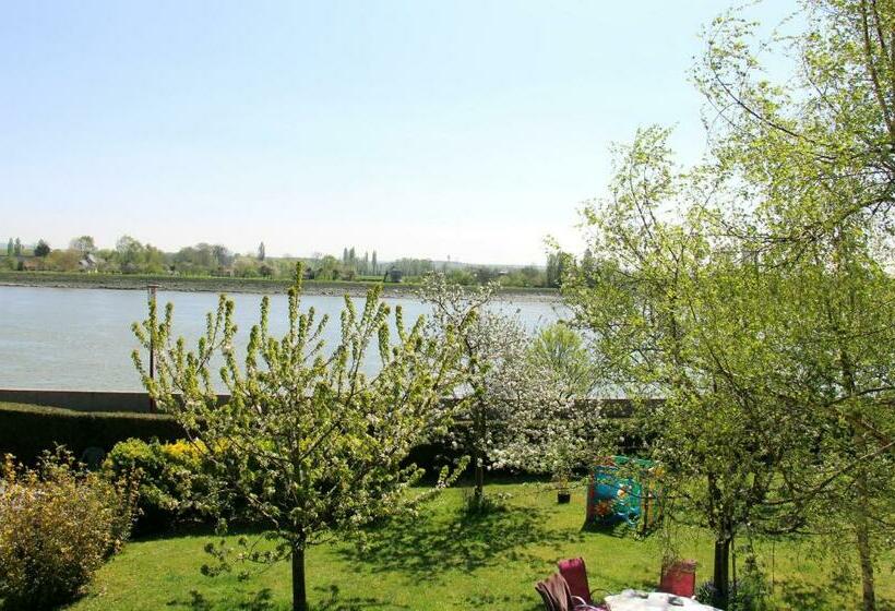 غرفة قياسية, En Bord De Seine