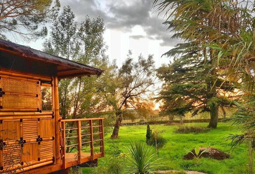 חדר דלוקס, La Demeure De L'arche