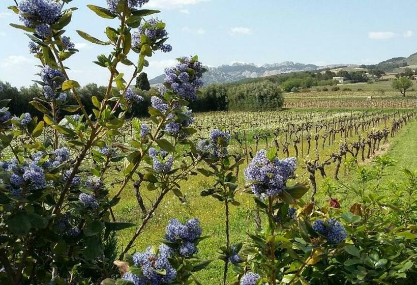スタンダードルーム, La Dentellière