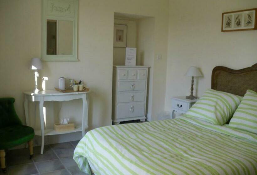 スタンダードルーム, La Dentellière