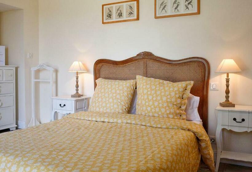 スタンダードルーム, La Dentellière