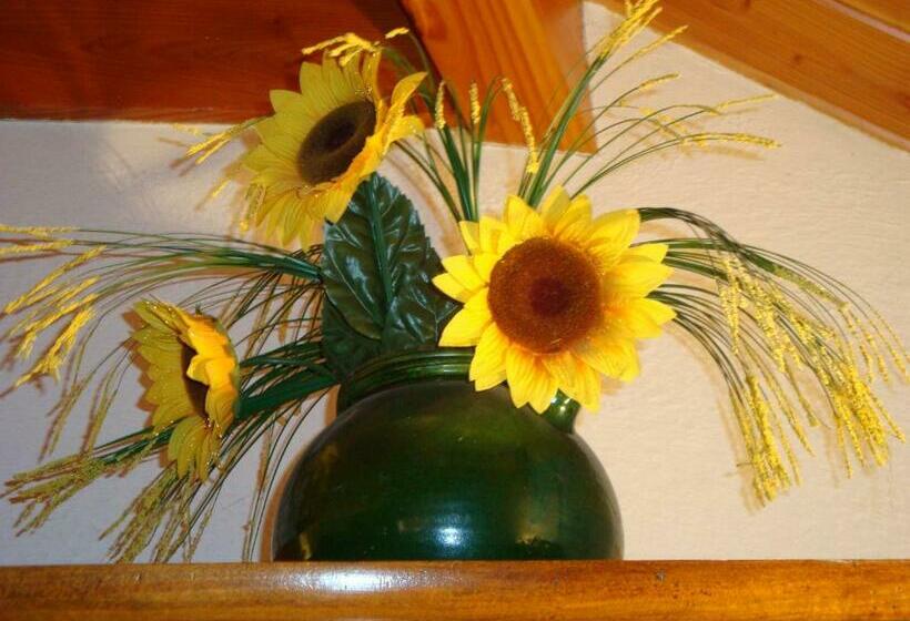 جناح, La Minauderie