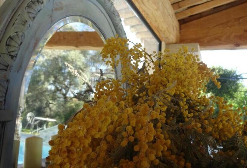 标准间, Les 4 Elements