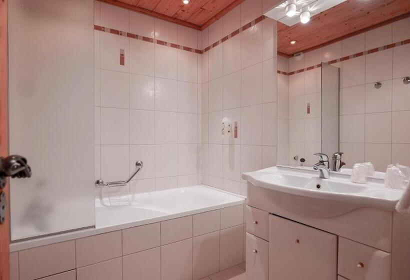 Студия Стандарт, Chalet Hôtel Des 2 Gares