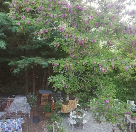 标准房带园景, & Restaurant Le Chalvet