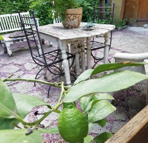 标准房带园景, & Restaurant Le Chalvet