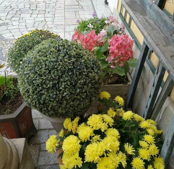 غرفة عائلية مطلّة علي الحديقة, Le Studio Chez Marilé