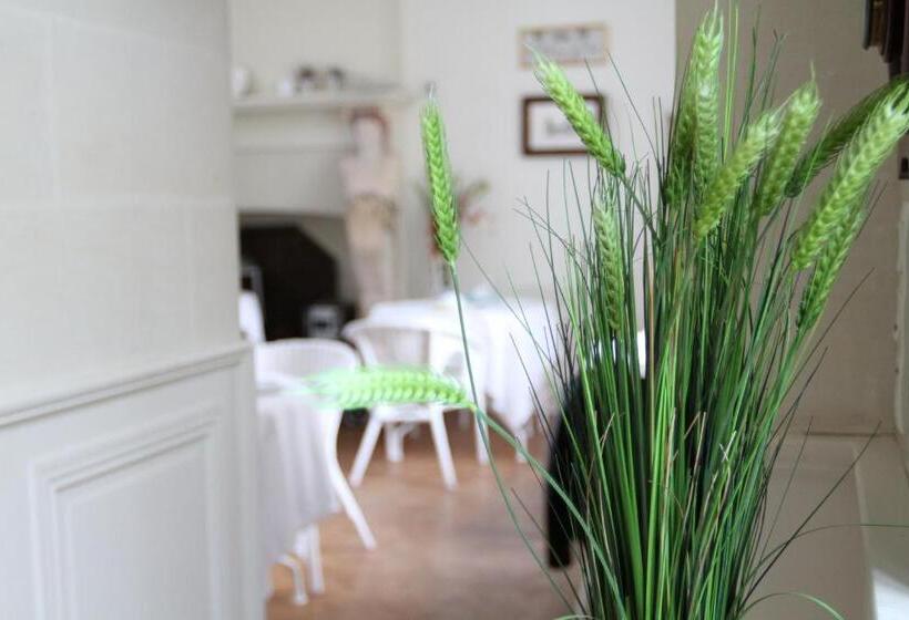 جناح سوبيريور, Château Du Bois De La Noe