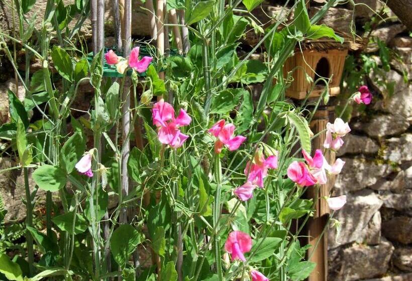 标准间, Domaine De Lasfonds