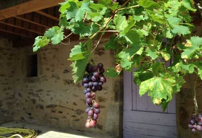 חדר סטנדרט, Domaine De Lasfonds