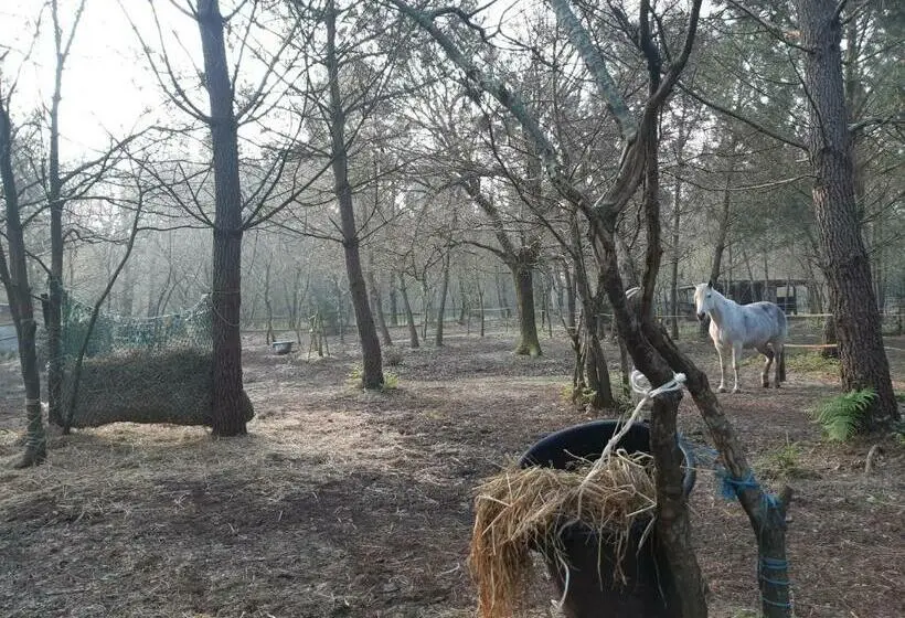 ４ベッドルームハウス, Domaine De L’escuderia
