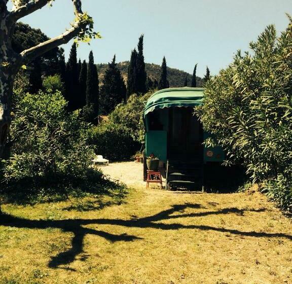 Номер Стандарт, L Amandari