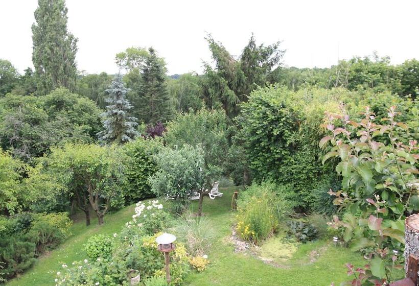 Номер Economy, La Maréchalerie