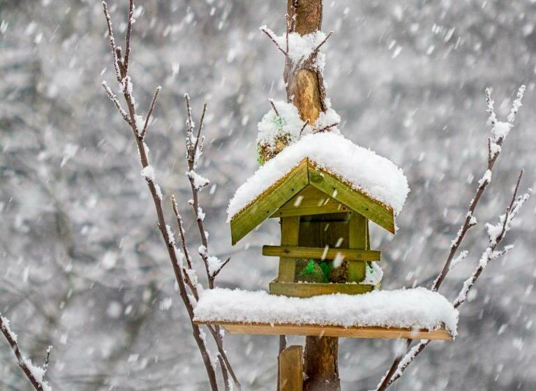 غرفة قياسية, L'atelier De Gisèle
