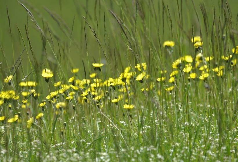 غرفة كومفورت, L'atelier De Gisèle