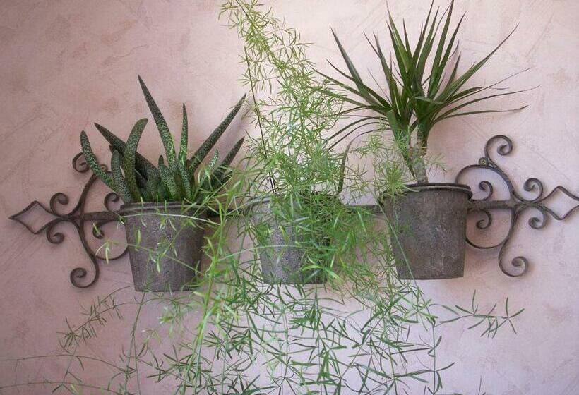 סוויטה משפחתית, Le Clos Des Perraudières