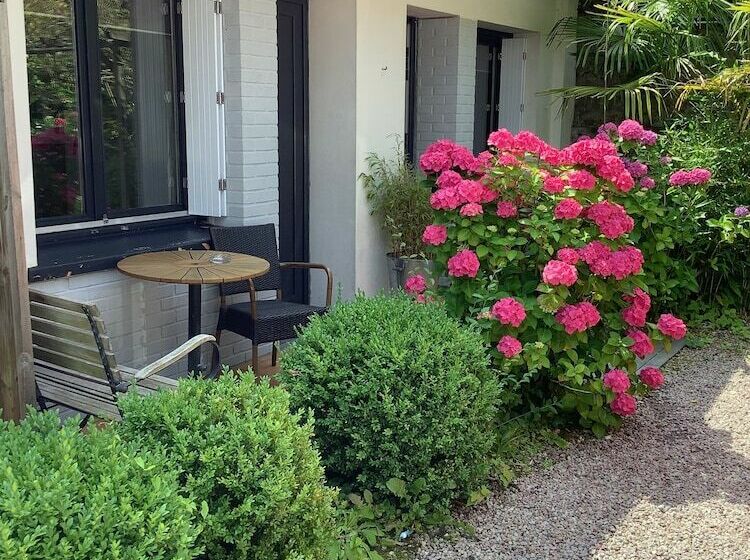 חדר סטנדרט, Monet