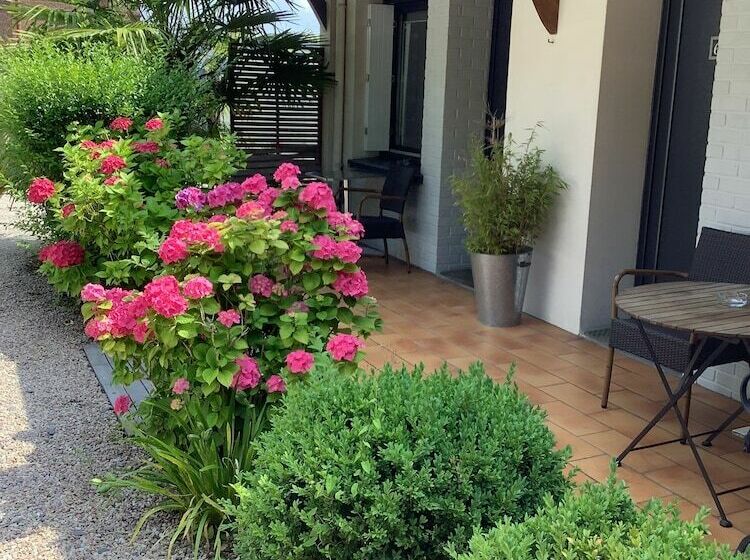 חדר סטנדרט, Monet