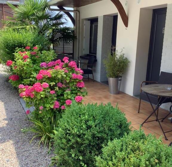 חדר סטנדרט, Monet