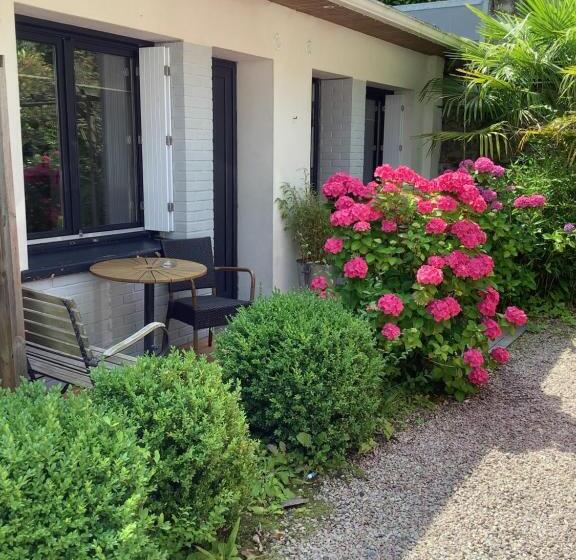 חדר סטנדרט, Monet