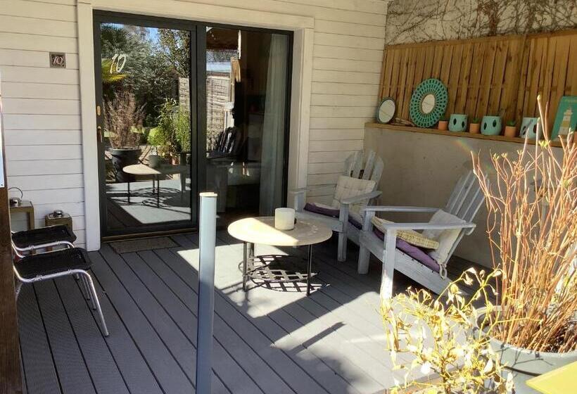 חדר סטנדרט, Monet