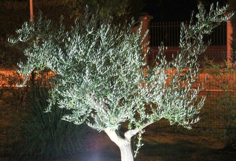 חדר סטנדרט לשלושה, Saint Louis