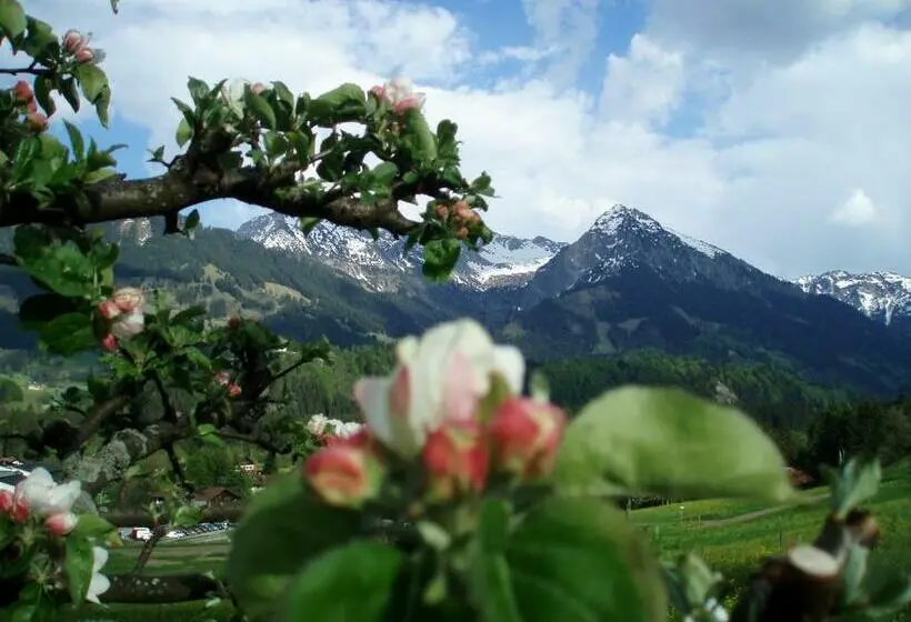 Standart Oda, Alpenblick