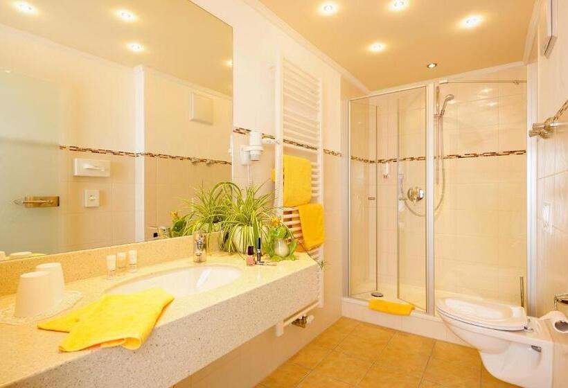 スタンダードルーム, Alpenblick