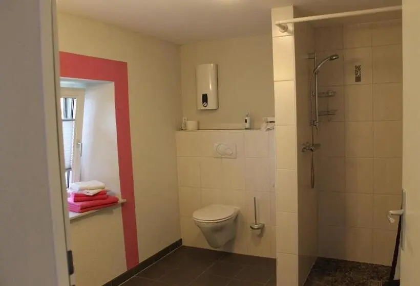 Standard Room Adapted for people with reduced mobility, Altes Schulhaus