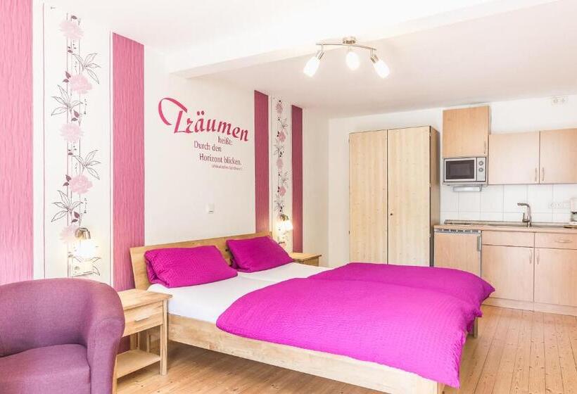 Номер Стандарт Адаптированный для Инвалидов, Altes Schulhaus