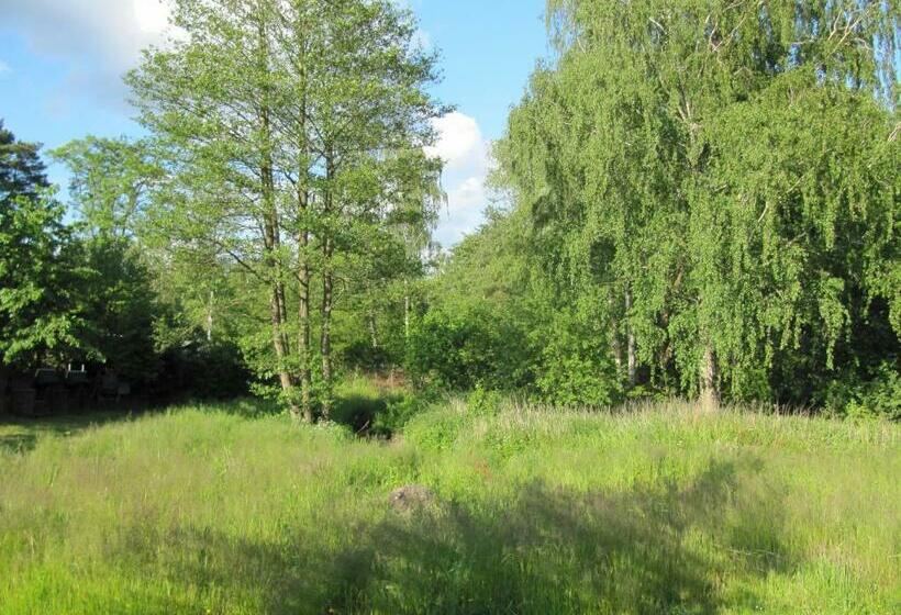 标准单人间, Altes Zollhaus Am Klinikum