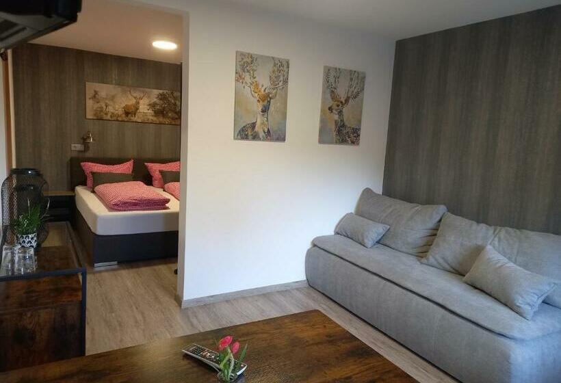 اتاق استاندارد, Engelbracht Inklusive Meinecardplus