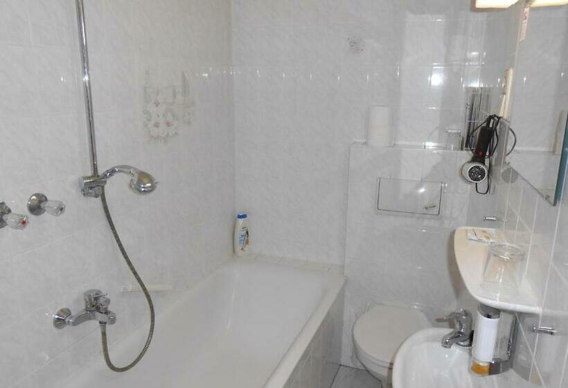 اتاق استاندارد یک نفره, Goldener Engel /pension