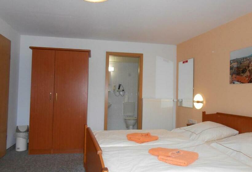 اتاق استاندارد سه نفره, Goldener Engel /pension