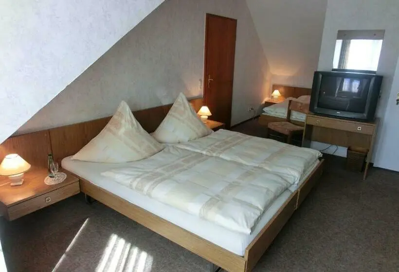 Standard Kolmen Hengen Huone, Hinz