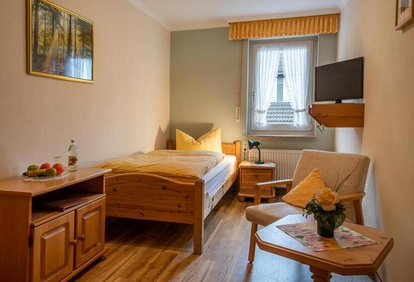 标准单人间, Landhotel Gasthof Zur Post