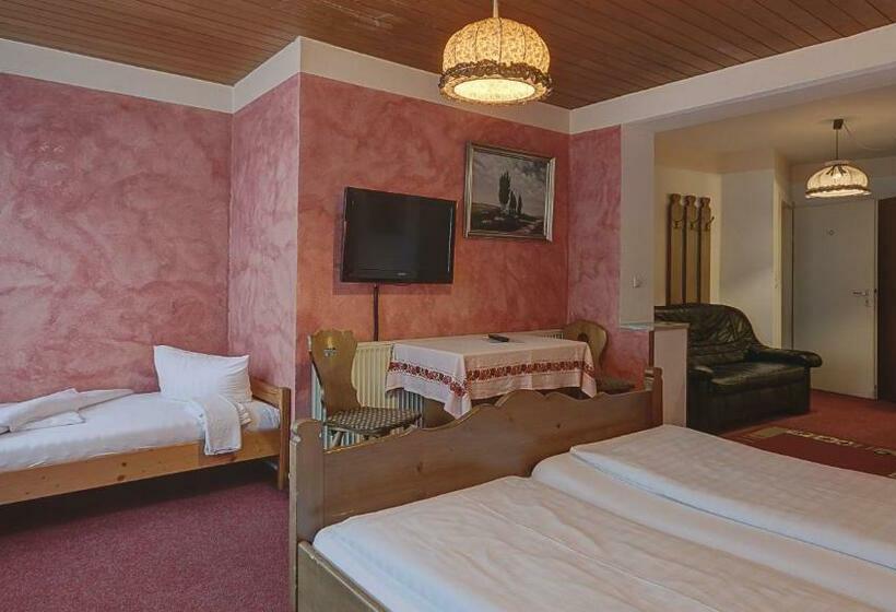 スタンダードトリプルルーム, Luitpold