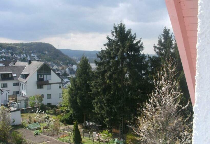 标准单人间, Rheinmoselview