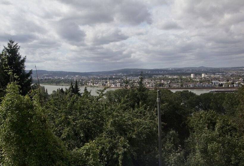 Quarto Estandar, Rheinmoselview