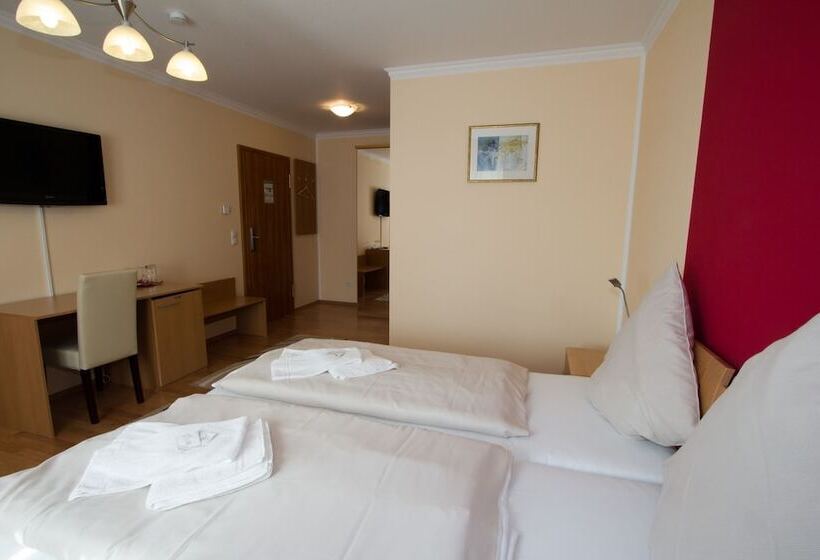 스탠다드 트리플 룸, Rheinmoselview