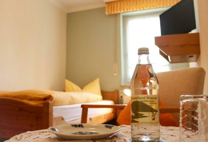 标准单人间, Landhotel Gasthof Zur Post