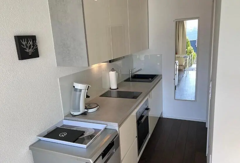 デラックススタジオ, Weingut Aparthotel Olinger