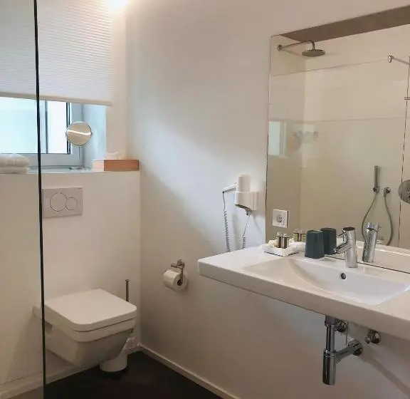 デラックススタジオ, Weingut Aparthotel Olinger