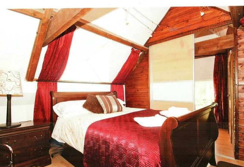 غرفة ديلوكس سرير كينج, The Old Star