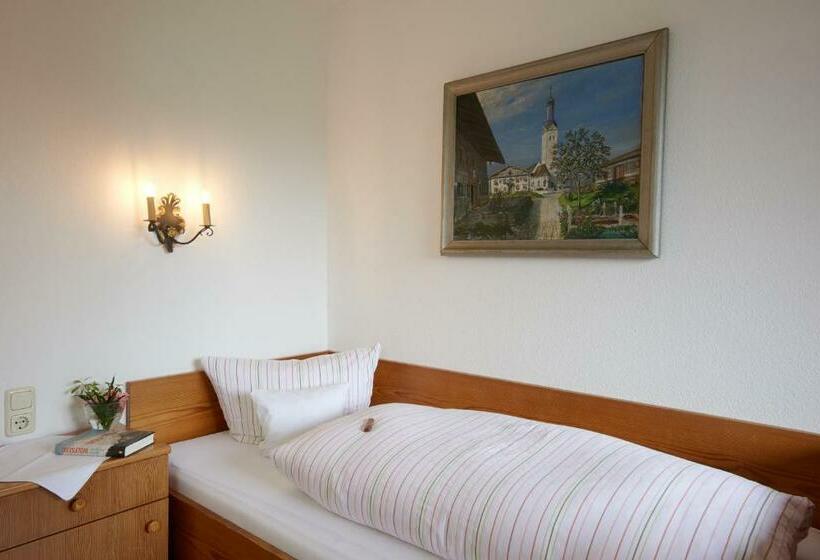 발코니 스탠다드 싱글 룸, Alter Ziehbrunnen