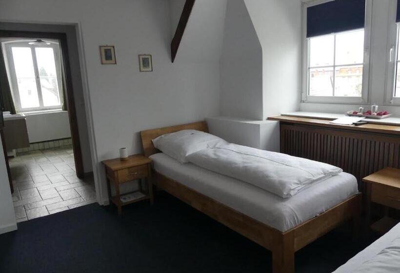 غرفة سوبيريور, Bayerischer Hof