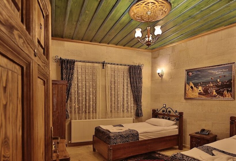 デラックスルーム, Cappadocia Cave Land