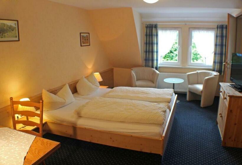 标准单人间, Gasthof Braun