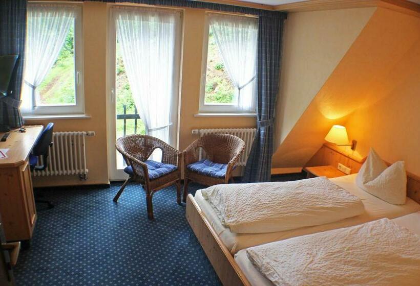 标准单人间, Gasthof Braun