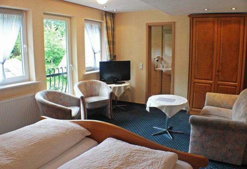 标准间, Gasthof Braun